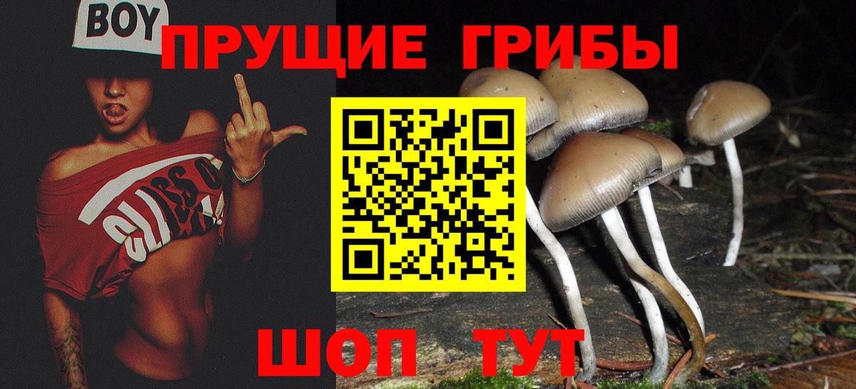 Псилоцибиновые грибы ЛСД Озёры