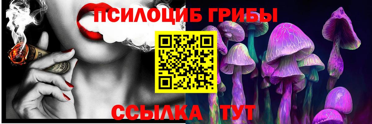 Псилоцибиновые грибы GOLDEN TEACHER  Вход с VPN  Озёры 